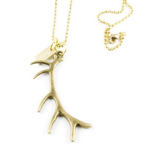 Hen and Bear Antler necklace - Picture 1 of 5